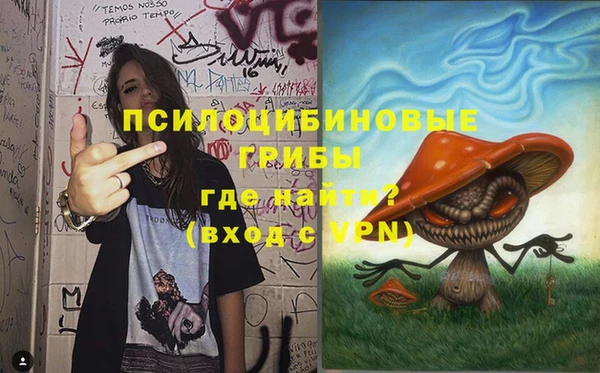 гидра Балабаново