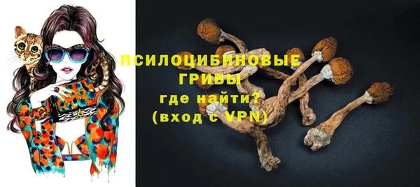 гидра Балабаново
